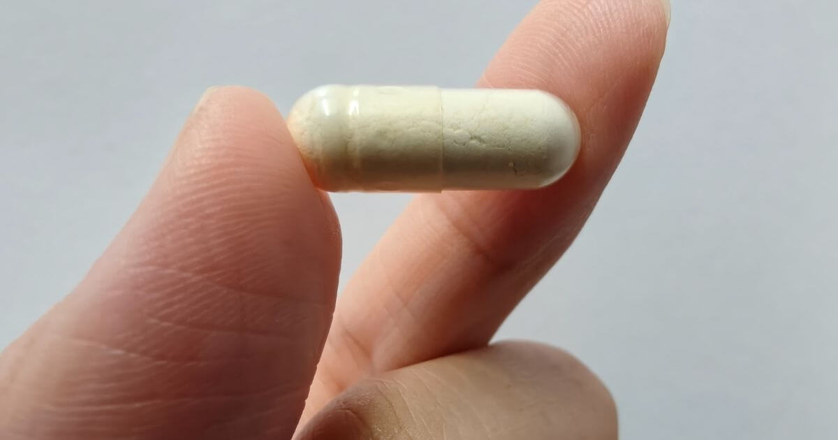 Probiotic capsule, commonly used to support gut microbiome balance