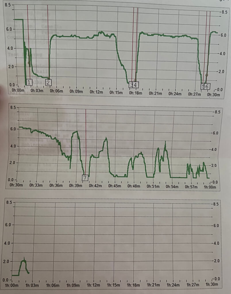 Heidelberg test graph showing low and fluctuating stomach acid levels linked to impaired digestion