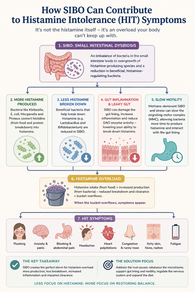 SIBO and histamine intolerance infographic
